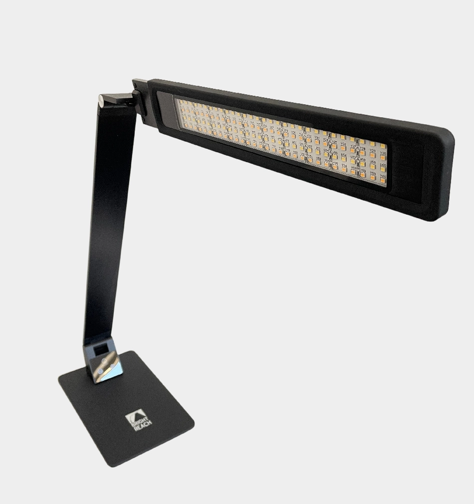 Bright Reach Desk Lamp