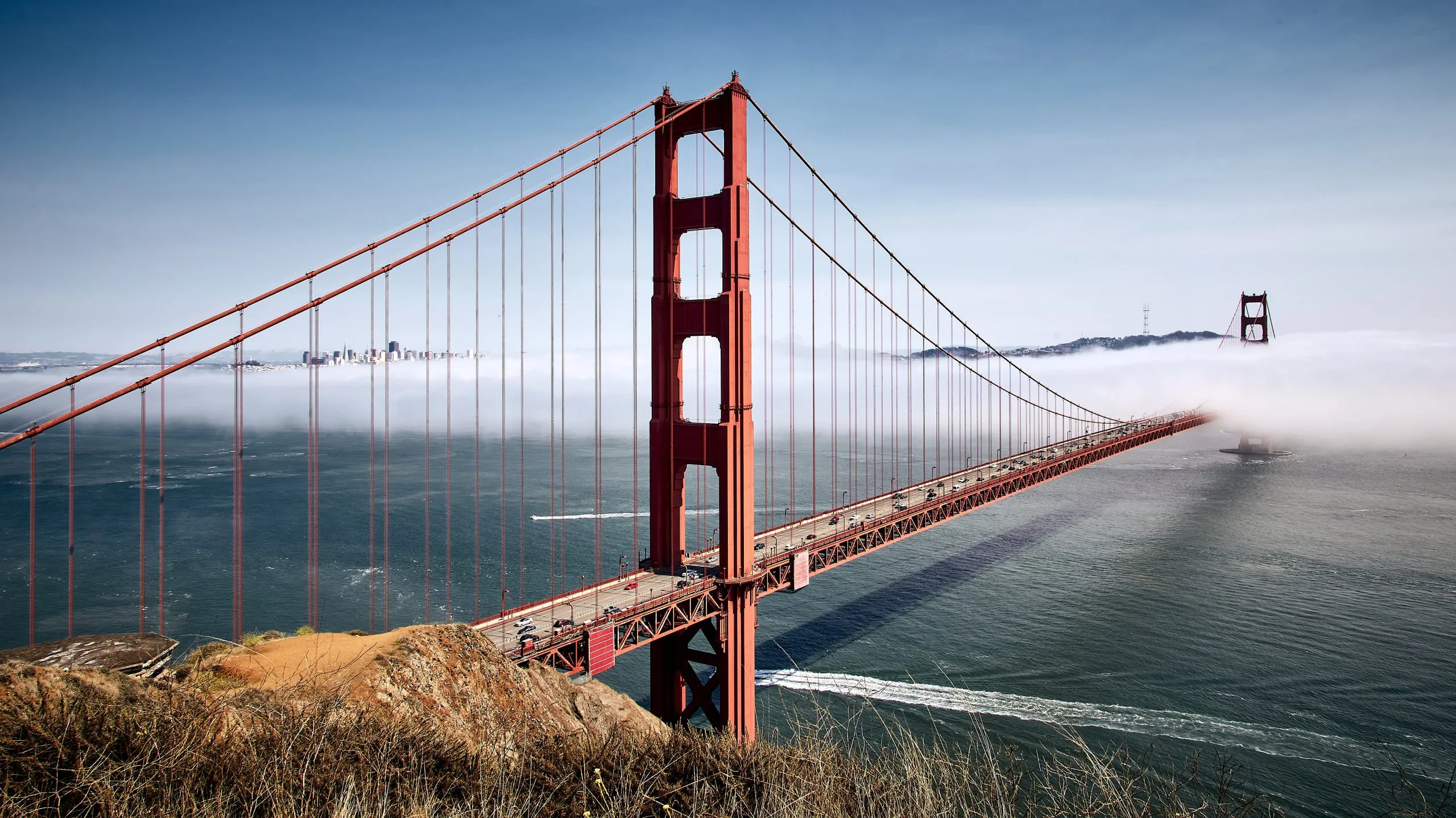 Bioptic Laws in California 