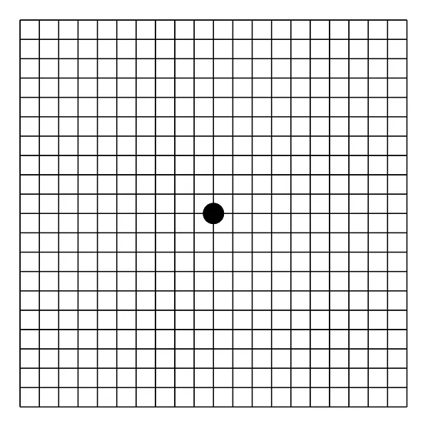 macular degeneration grid