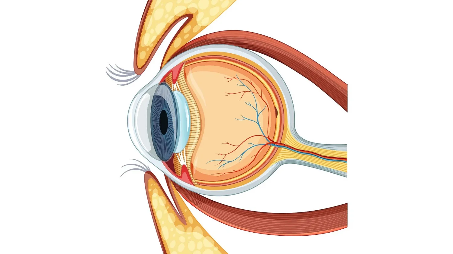 Eye Disease Trachoma