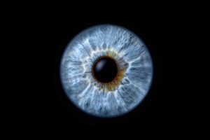 Charles Bonnet Syndrome