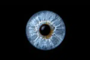 Author Shaun-Larsen 7 Charles Bonnet Syndrome