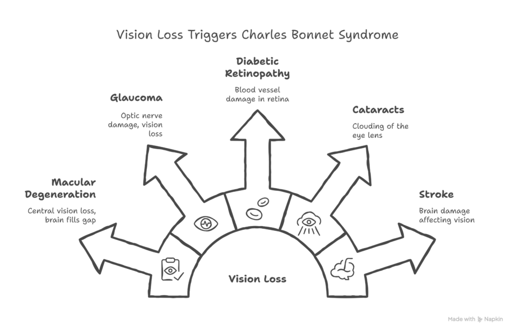 Charles Bonnet Syndrome: Understanding Visual Hallucinations from Macular Degeneration 1 image 1