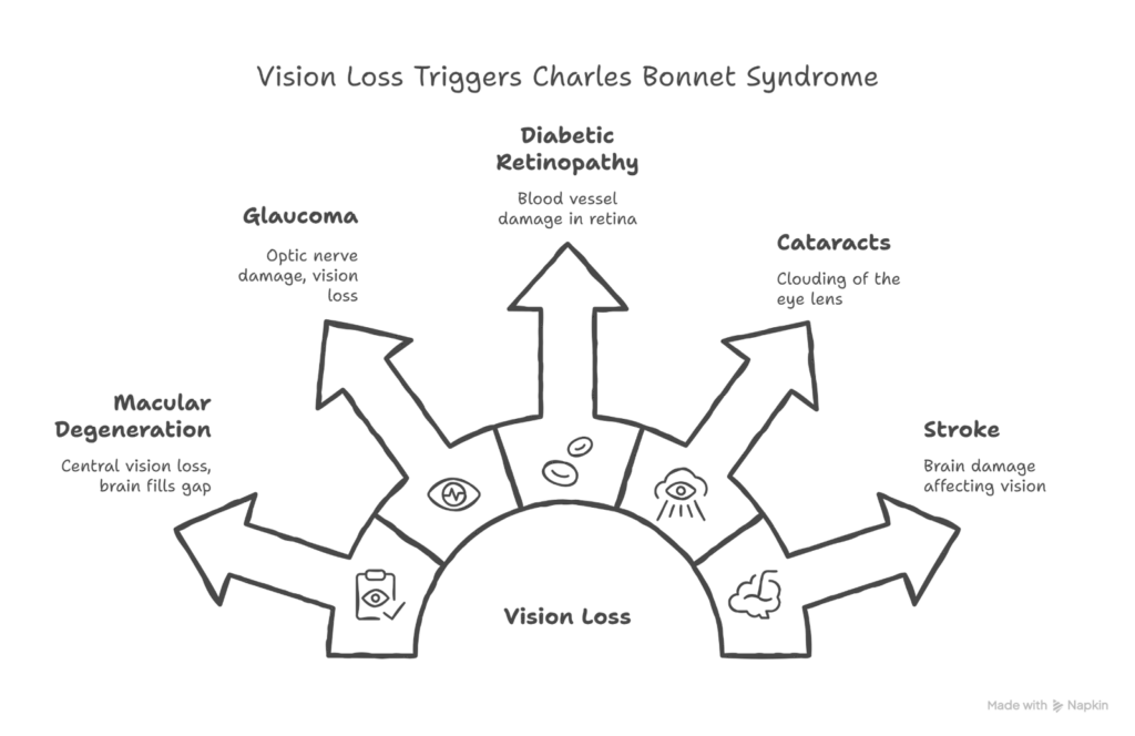 Charles Bonnet Syndrome: Understanding Visual Hallucinations from Macular Degeneration 1 image 1